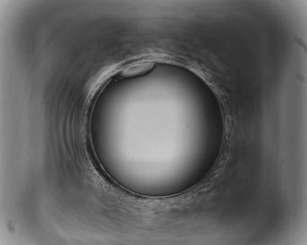 X0000100870007200806271124