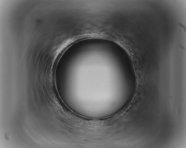 X0000100870008200806271124