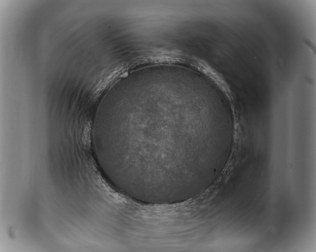 X0000100870009200806271124