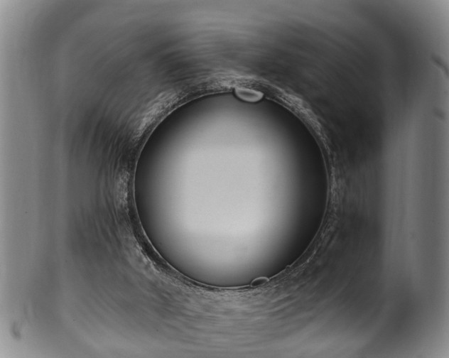 X0000100870010200806271124