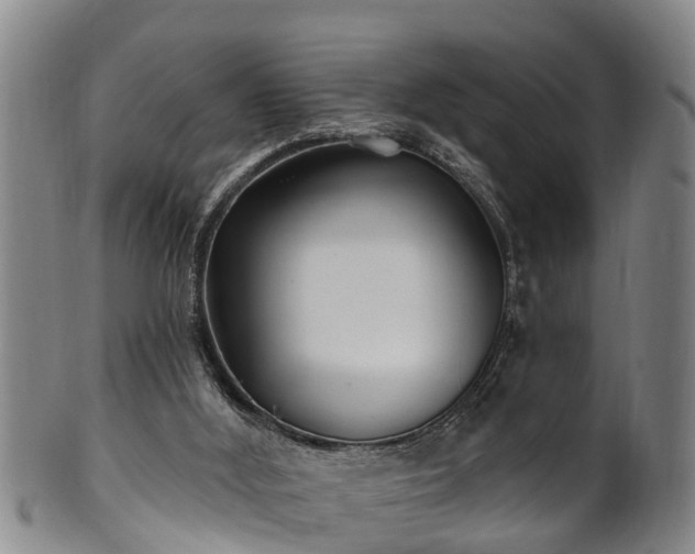 X0000100870012200806271124