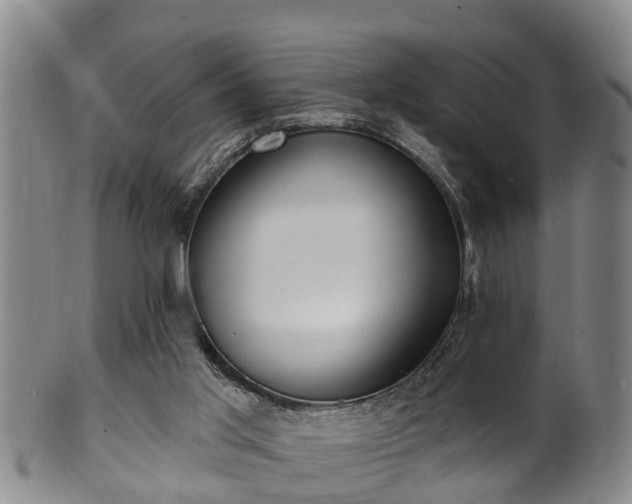 X0000100870013200806271124