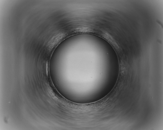 X0000100870014200806271124