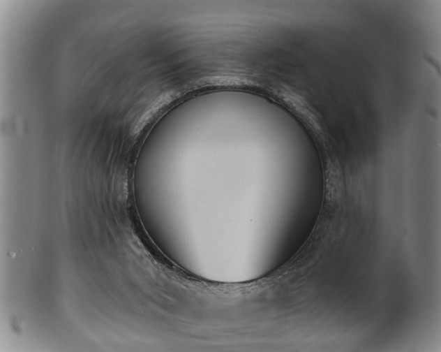 X0000100870015200806271124