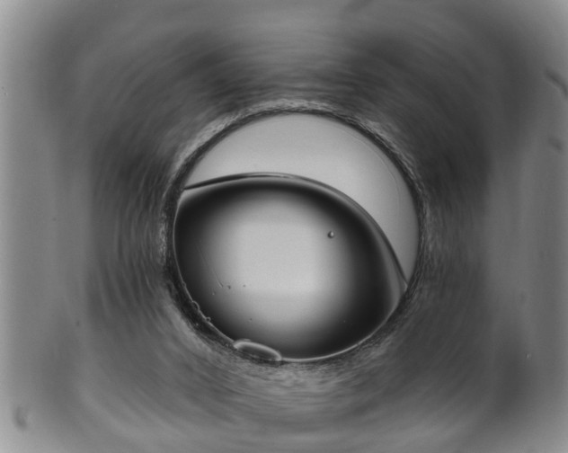 X0000100870016200806271124