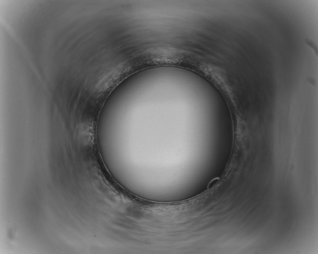 X0000100870017200806271124