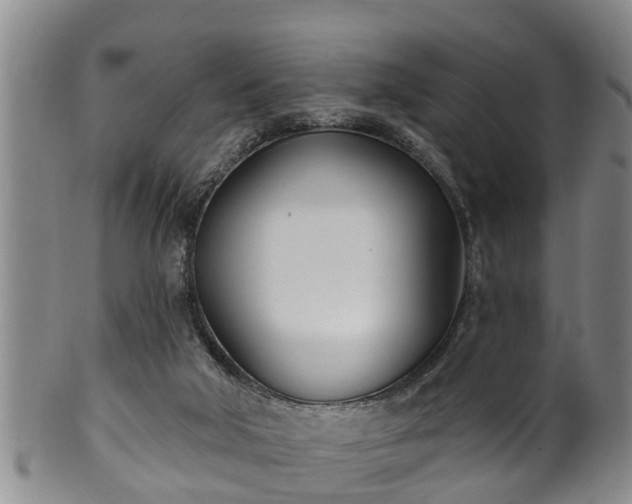 X0000100870018200806271124