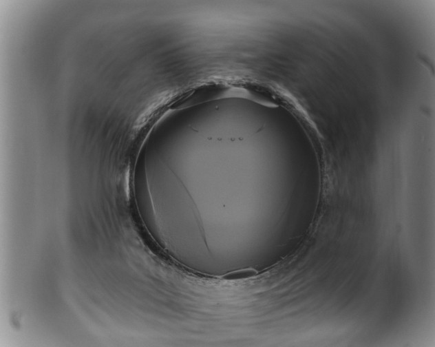 X0000100870019200806271124