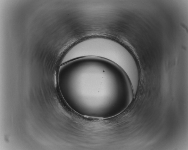 X0000100870020200806271124