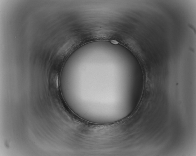 X0000100870021200806271124