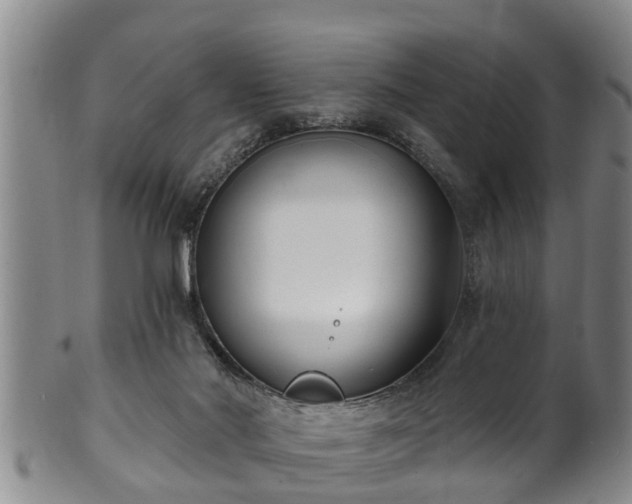 X0000100870022200806271124