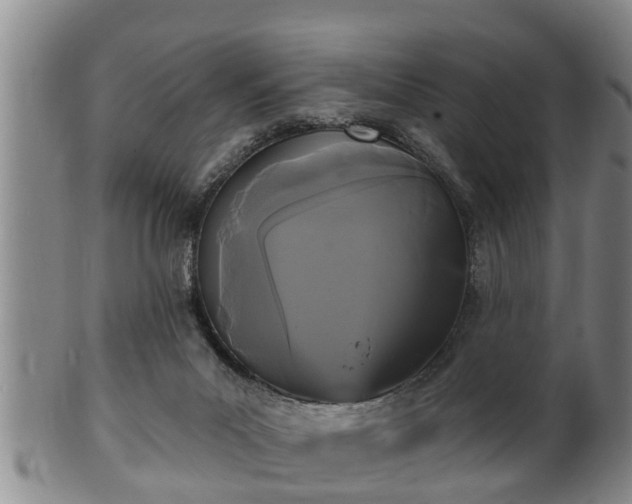 X0000100870023200806271124