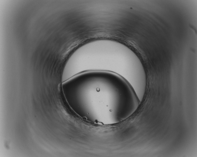 X0000100870024200806271124