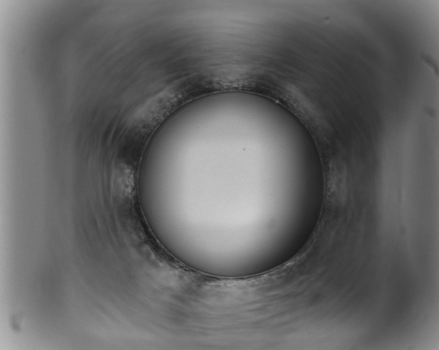 X0000100870025200806271124