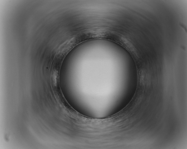 X0000100870026200806271124