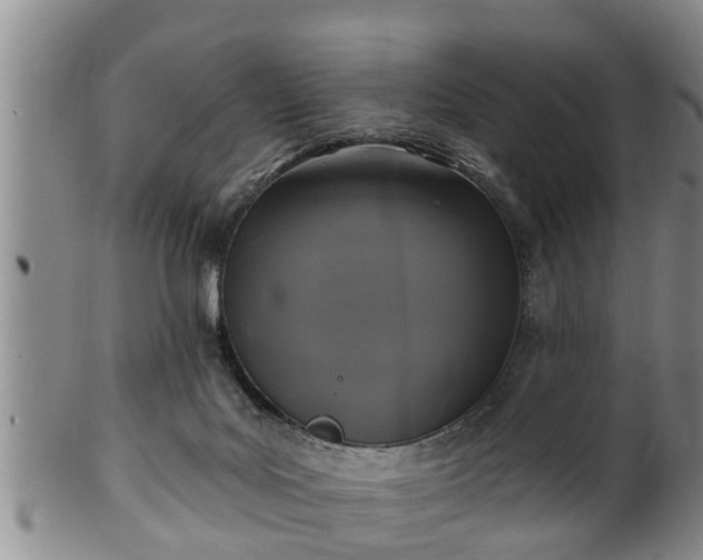 X0000100870027200806271124