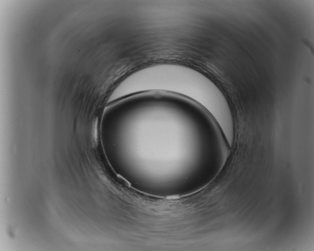 X0000100870028200806271124