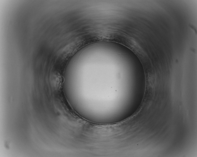 X0000100870029200806271124