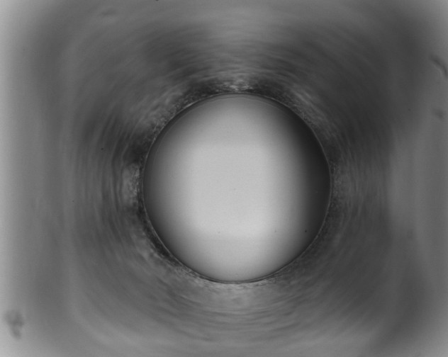 X0000100870030200806271124