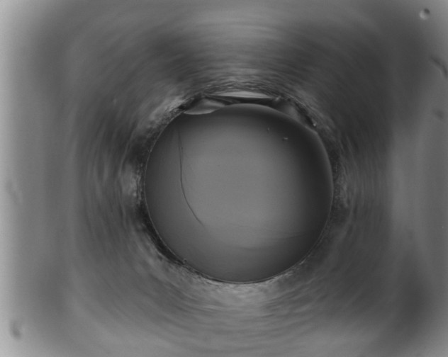 X0000100870031200806271124