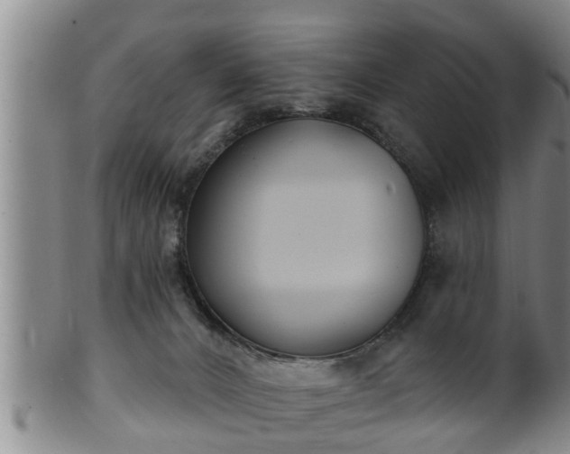 X0000100870032200806271124