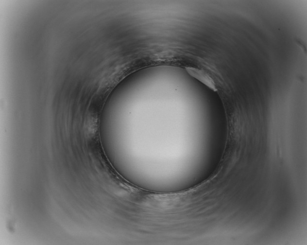 X0000100870033200806271124