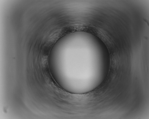 X0000100870034200806271124