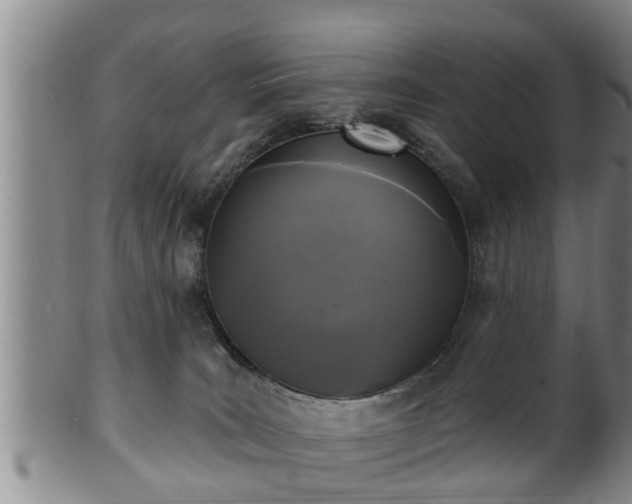 X0000100870035200806271124