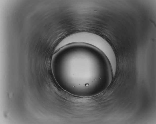 X0000100870036200806271124