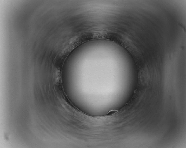 X0000100870038200806271124