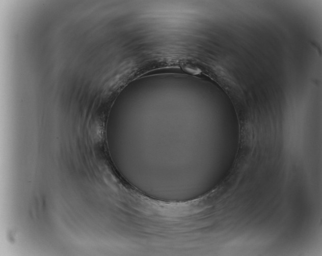 X0000100870039200806271124