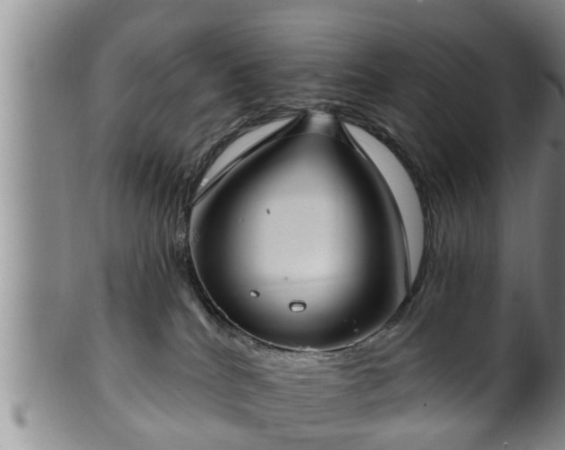 X0000100870040200806271124