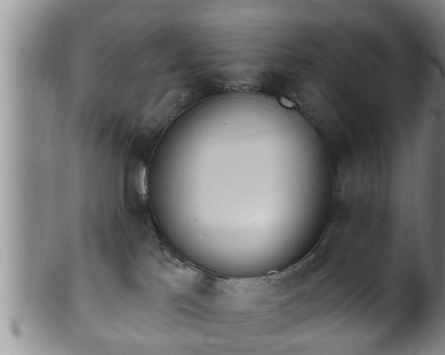 X0000100870041200806271124