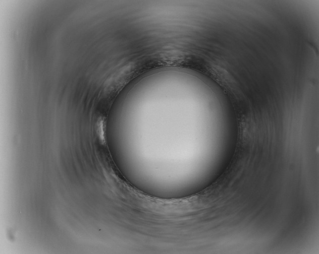 X0000100870042200806271124