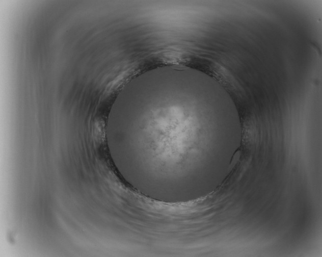 X0000100870043200806271123