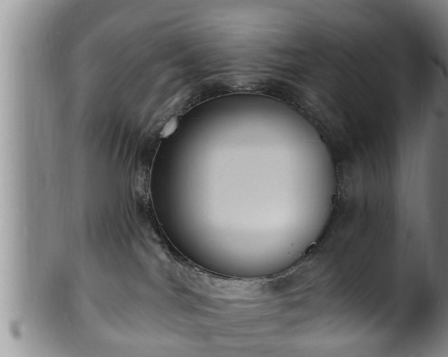 X0000100870044200806271123