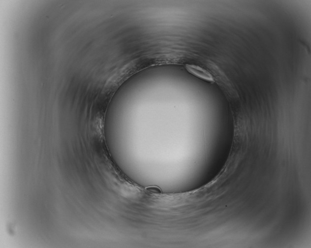 X0000100870045200806271123