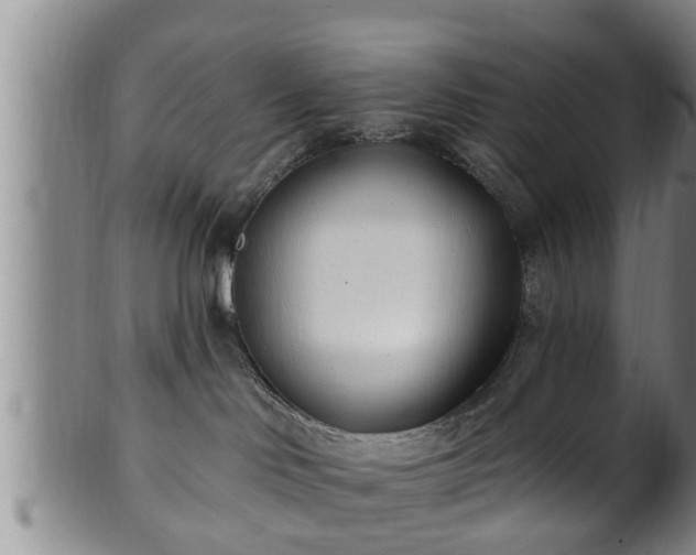 X0000100870046200806271123