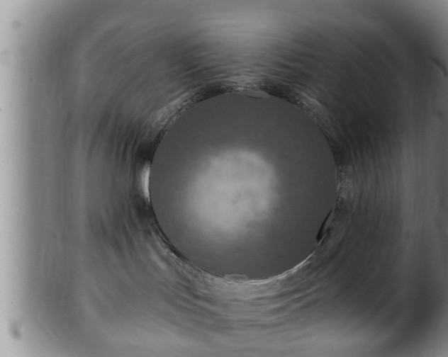 X0000100870047200806271123