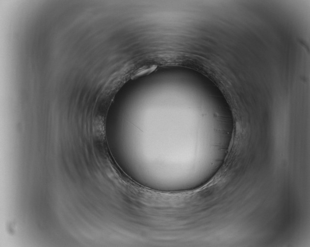 X0000100870048200806271123