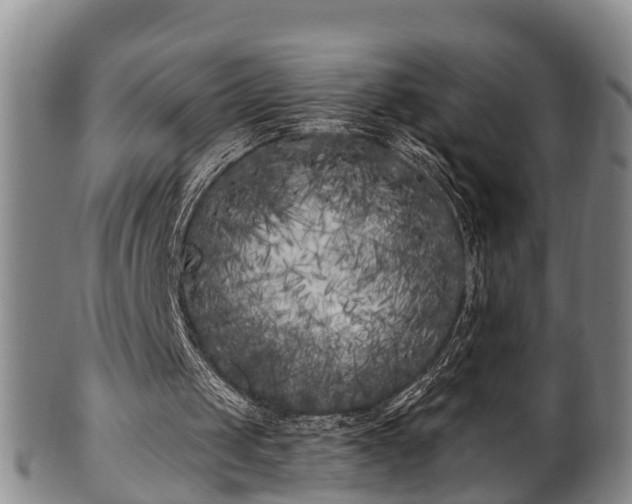 X0000100870049200806271123