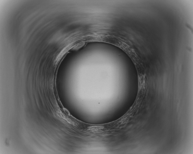 X0000100870051200806271123