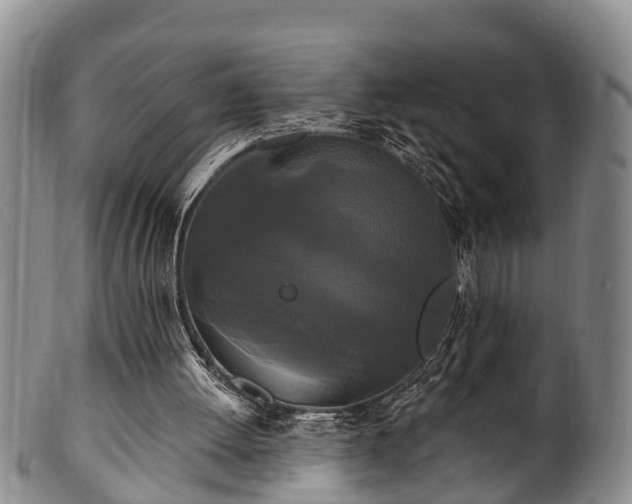 X0000100870052200806271123