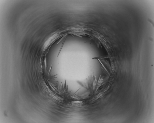 X0000100870053200806271123