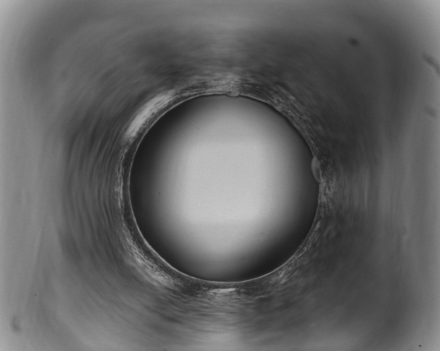 X0000100870054200806271123