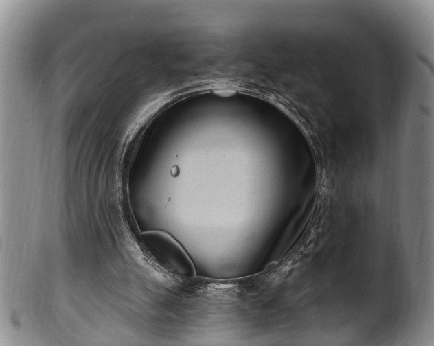 X0000100870055200806271123