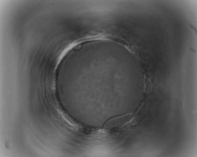 X0000100870056200806271123