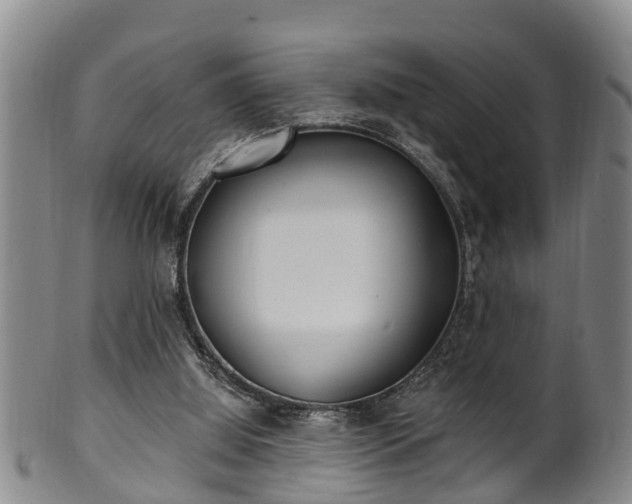 X0000100870060200806271123