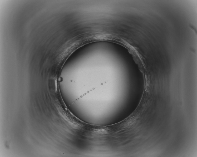 X0000100870061200806271123