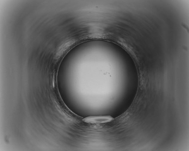 X0000100870062200806271123